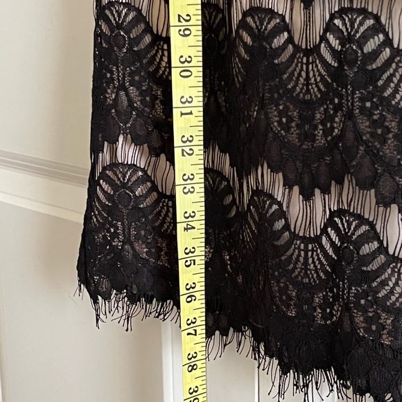 Wallis Uk 14 Timeless Black Lace Beige Lined Lace Shift Dress - Picture 3 of 8